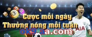ok9 aa.com